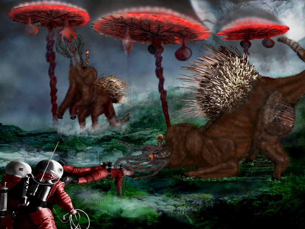 [Image: explorertip12.jpg]