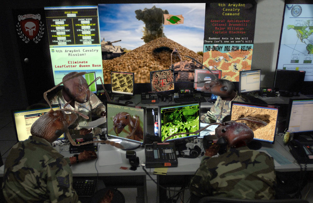[Image: MMT3_R2-01.jpg]