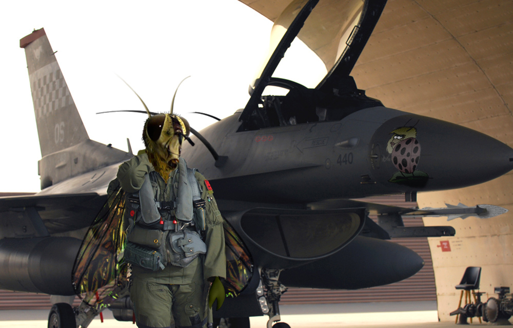 [Image: MMT3_R2-06.jpg]