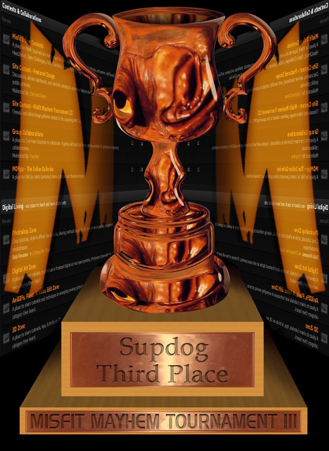 [Image: trophy3rd.jpg]