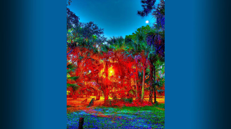 [Image: LightGiver1.jpg]