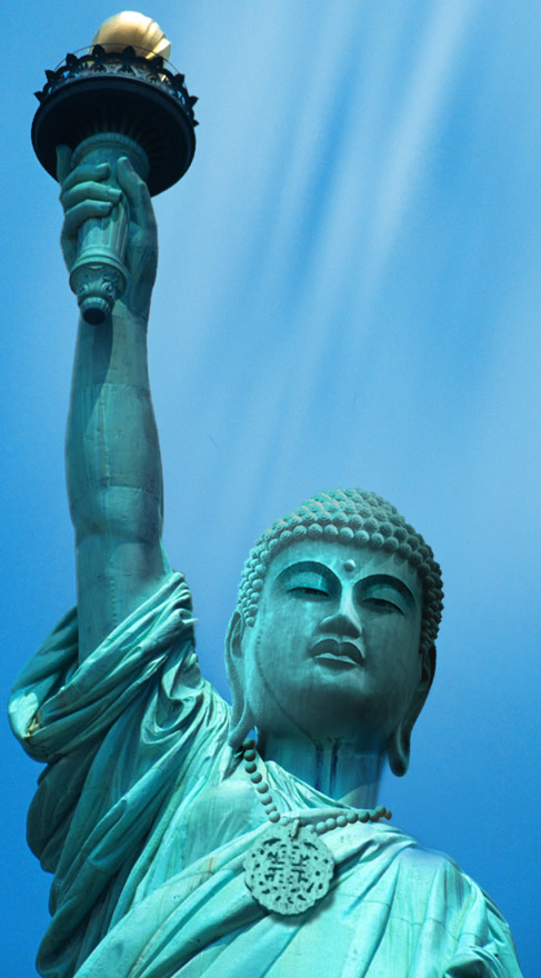 Tourney Gold Finish Supdog - History Result