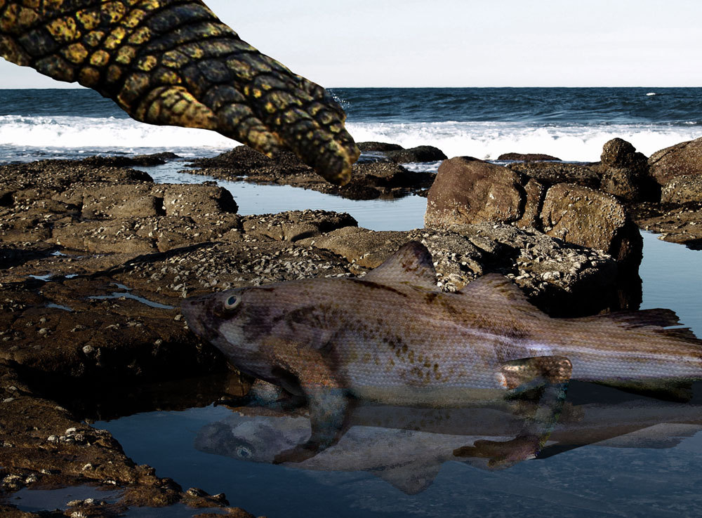 5th Place Grabthar - History Change