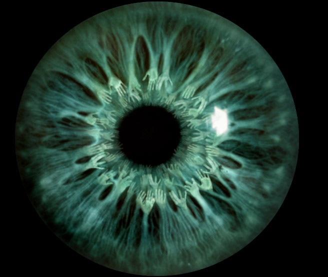 Dalisllama Hi eye IngredWaves