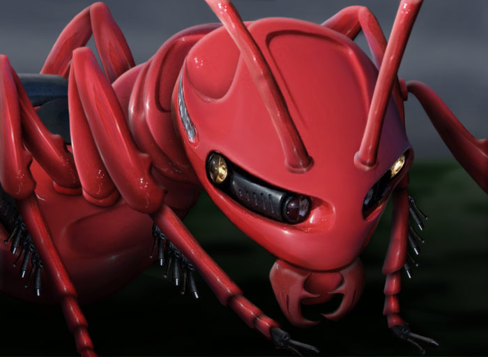 Dalisllama fire ant after dl