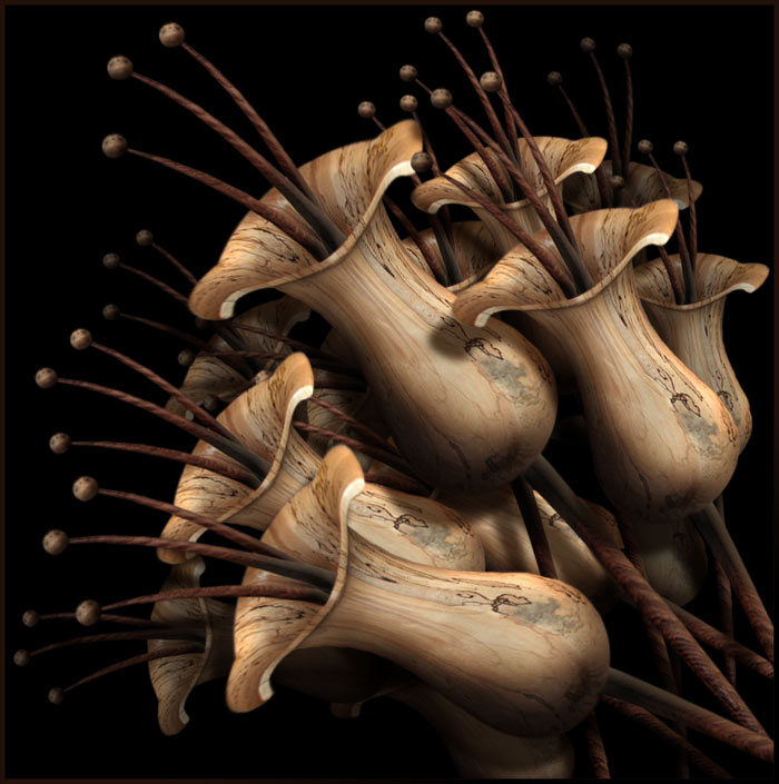 Dalisllama woodflower